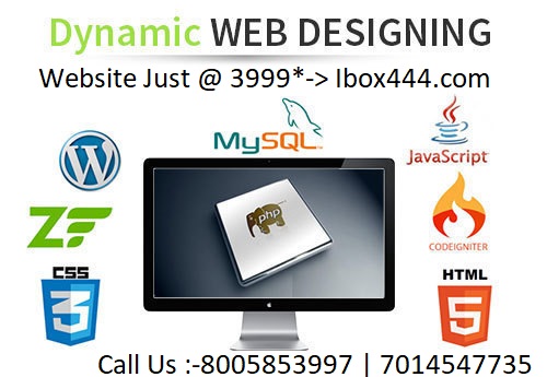 Dynamic Web Design Jaipur