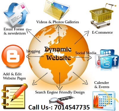 cheap-dynamic-web-development-delhi-ncr-india.jpg